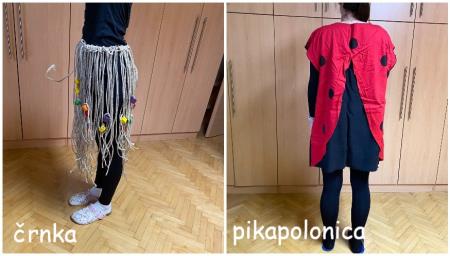 pikapolonica, črnka